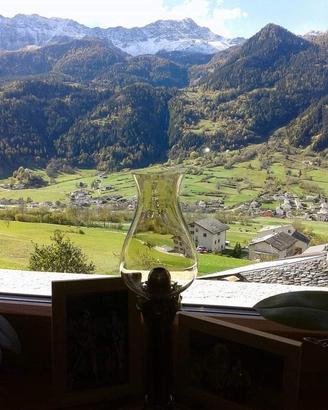 Appartamento con vista sulla Valposchiavo