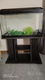 Acquario