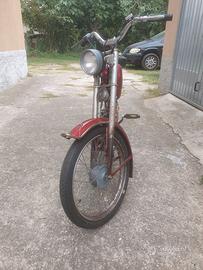 NEGRINI GIOIETTA