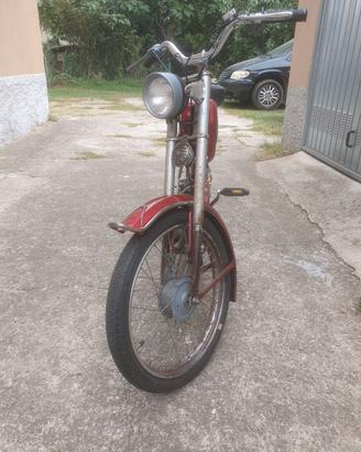 NEGRINI GIOIETTA