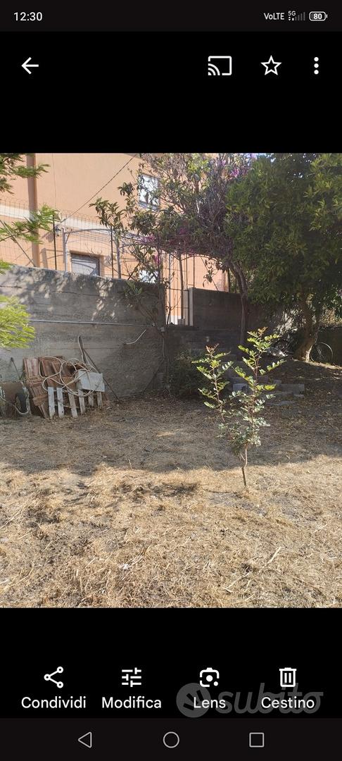 Appartamento – Oliveri, Messina - Vista 3