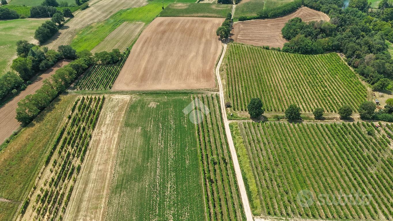TER. AGRICOLO A CALVAGESE DELLA RIVIERA - Vista 4
