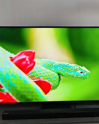 Samsung QLED 55 Q7F5 4K Smart TV