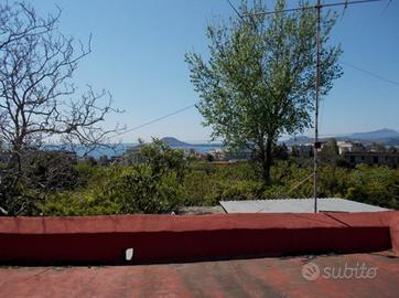 TERRENO AGRICOLO in Via Cupa Cigliano - POZZUOLI