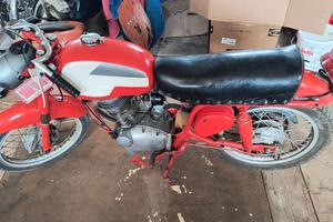 Gilera Giubileo 98 extra - Anni 60