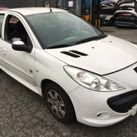 Ricambi Peugeot 206 Plus 1.1 Benzina 5 porte 2013