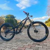 Specialized stumpjumper evo TG S2