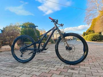 Specialized stumpjumper evo TG S2