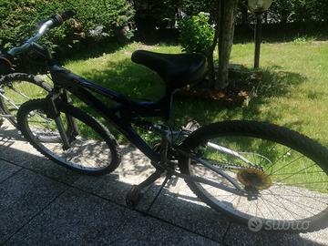 bicicletta 