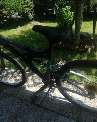 bicicletta 