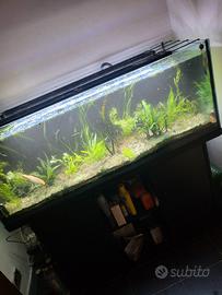 acquario 350 litri 