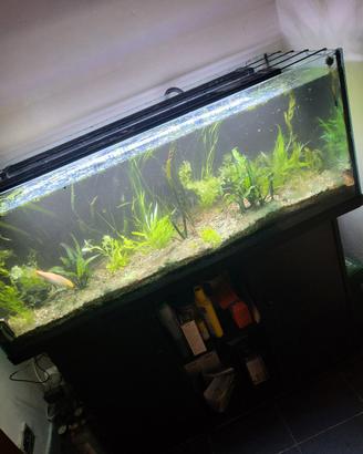 acquario 350 litri 