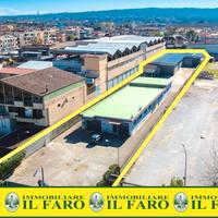 Struttura commerciale