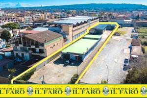 Struttura commerciale