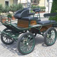 Carrozza per cavalli marathon glinkowsky 138