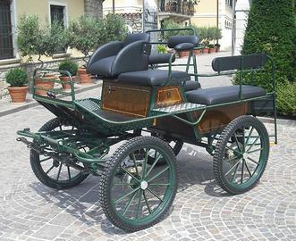 Carrozza per cavalli marathon glinkowsky 138