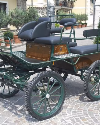 Carrozza per cavalli marathon glinkowsky 138