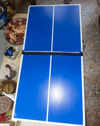 PING PONG DA TAVOLO 