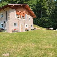 Baita Val Algone Trentino