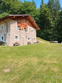 Baita Val Algone Trentino