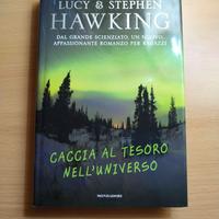 Caccia al tesoro nell'universo - Stephen Hawking