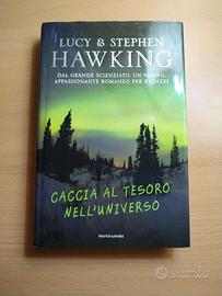 Caccia al tesoro nell'universo - Stephen Hawking