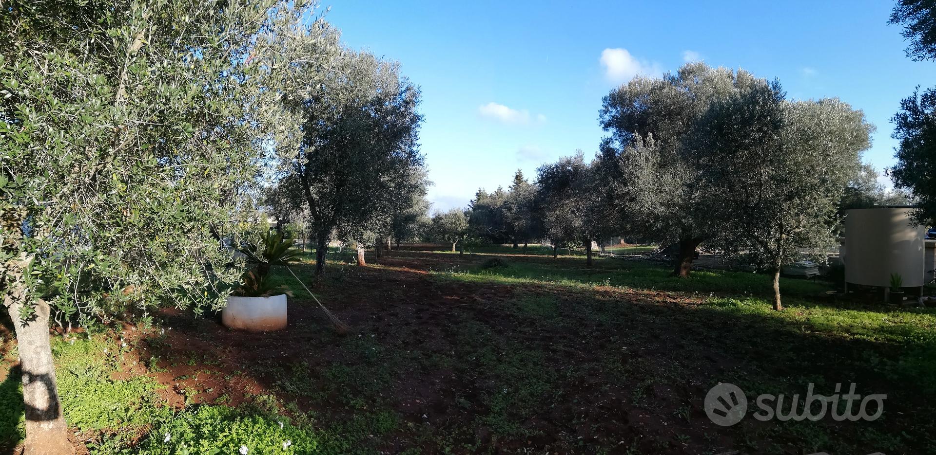 TERRENO a Carovigno ,Puglia, - Vista 3