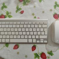 Tastiera e/o mouse Apple magic originali 