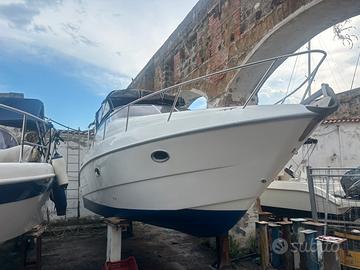 Sessa oyster 27