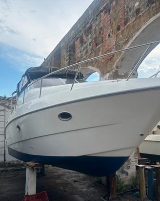 Sessa oyster 27