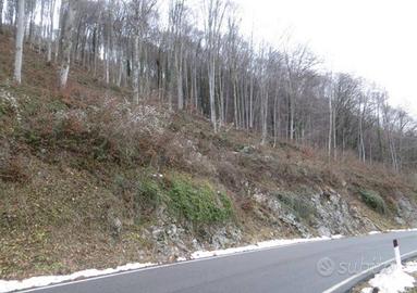 Immobile in asta di 17695 m² a Costa Valle Imagna