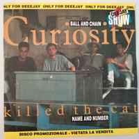 Curiosity Killed The Cat