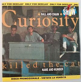 Curiosity Killed The Cat