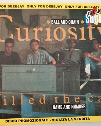 Curiosity Killed The Cat