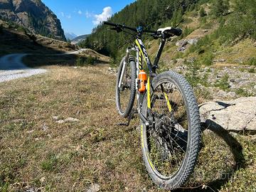 Scott scale 970