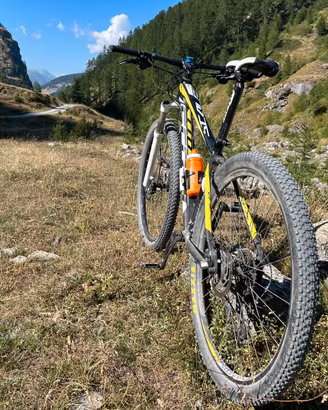 Scott scale 970