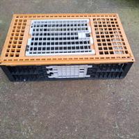 Gabbia trasporto conigli/galline