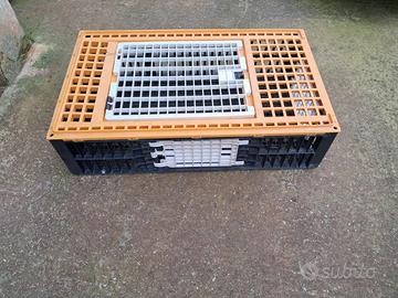 Gabbia trasporto conigli/galline