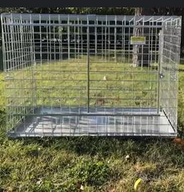 Contrnitore per cane