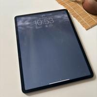 IPad Pro 12.9” 6ª Gen 256GB WiFi +Cellular
