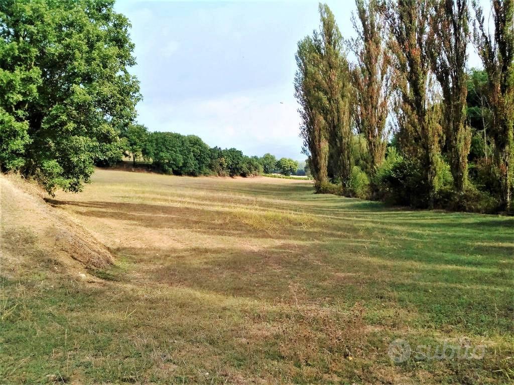 Terreno di 124220 m² a Montefalco - Vista 4