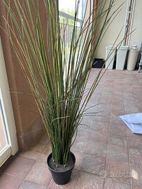 Pianta finta Ikea