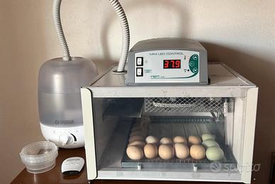 Incubatrice fiem cip cip 28 girauova automatico