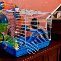 Gabbietta per criceti 