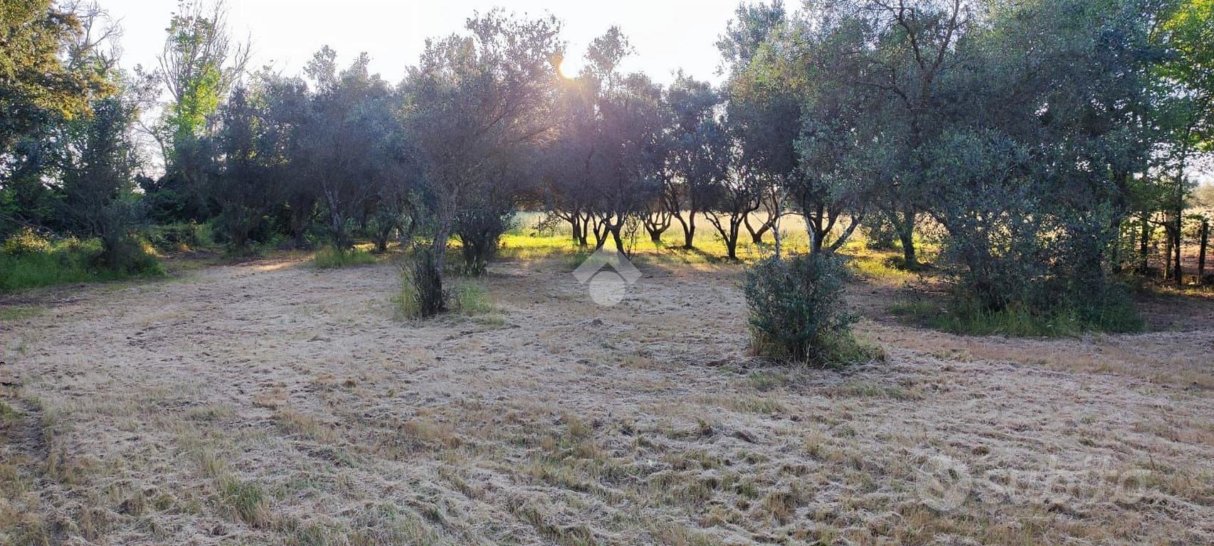 RUSTICO A BRINDISI - Altro