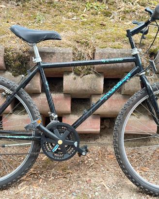 Bicicletta