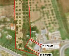 Terreno agricolo