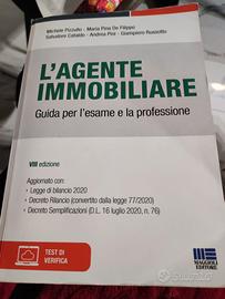 agente immobiliare 