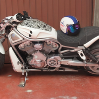 Harley Davidson v Rod