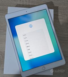 Apple iPad Usato